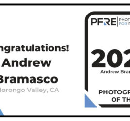 pfre Photographer of the Year